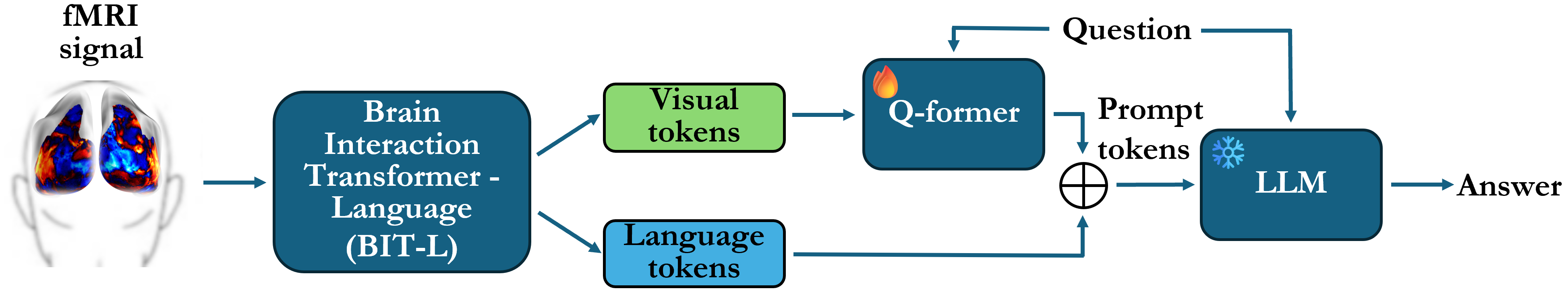 Brain-IT-VQA architecture diagram